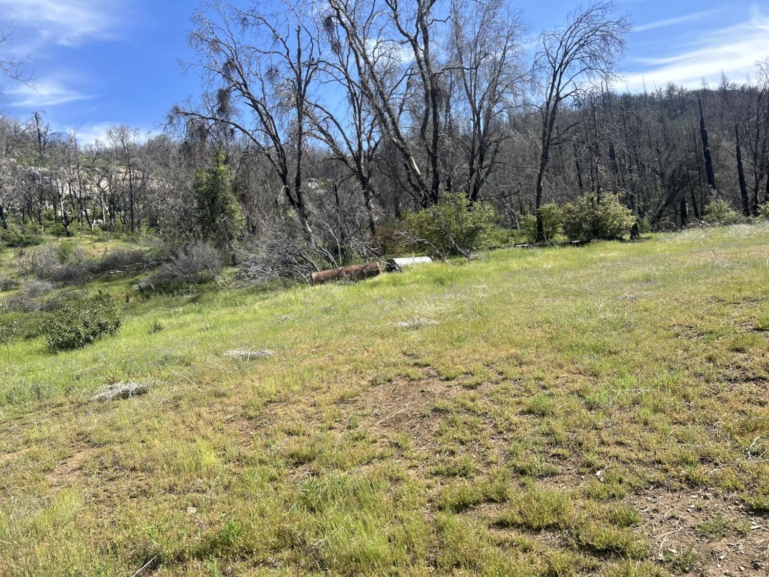 Photo of 36728 Peterson Rd in Auberry, CA