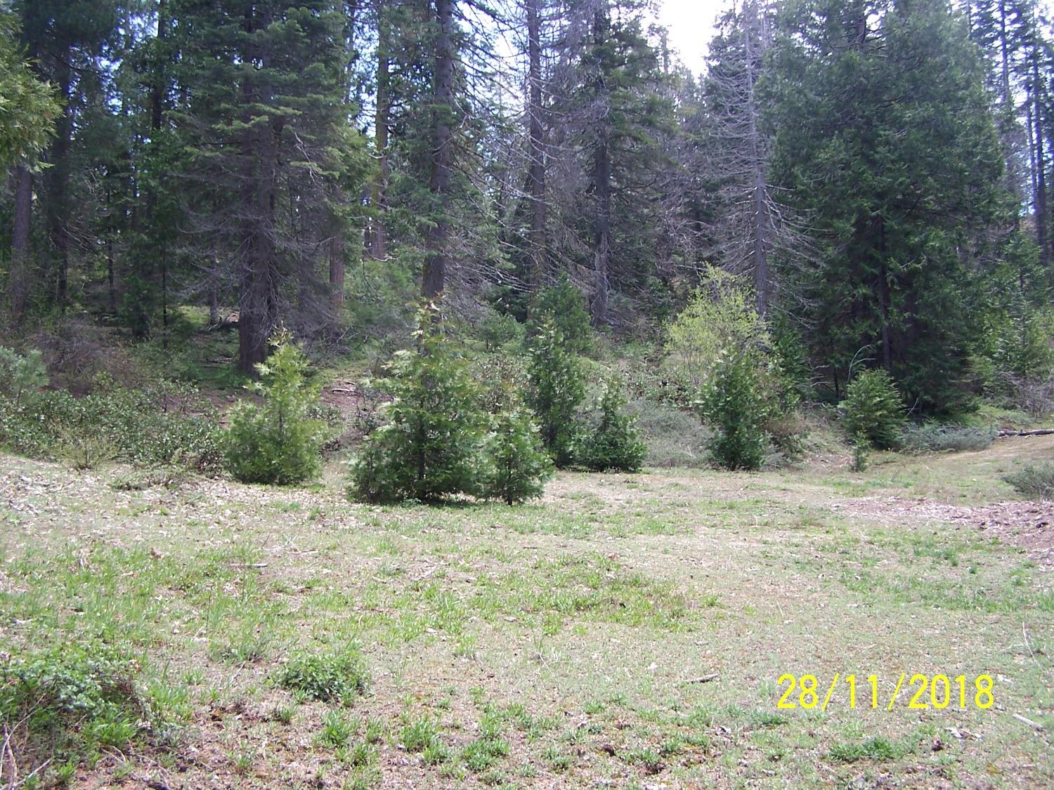 Photo of 111 Old Yosemite Rd in Oakhurst, CA