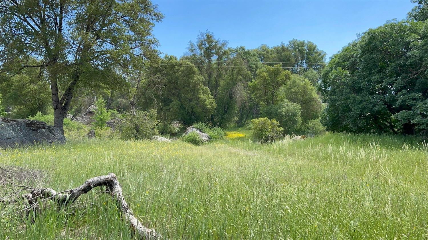 Photo of 4245 Burl Dr in Mariposa, CA