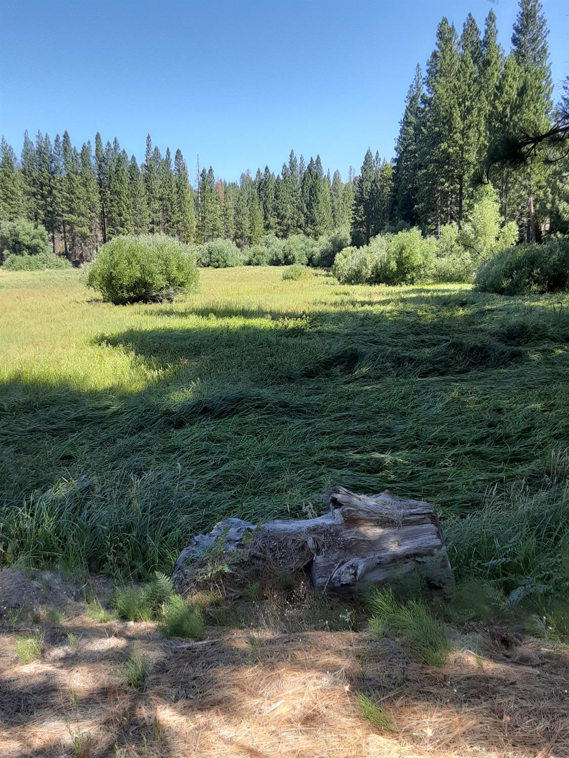 Photo of 48 S Meadow Ln in North Fork, CA