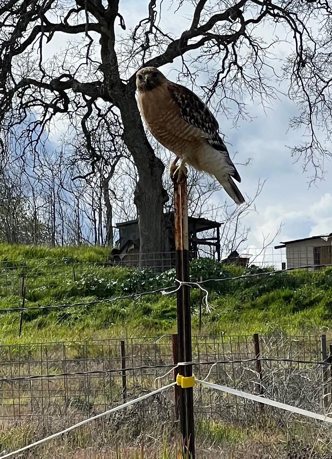 Photo of 4 Valley St St in Raymond, CA