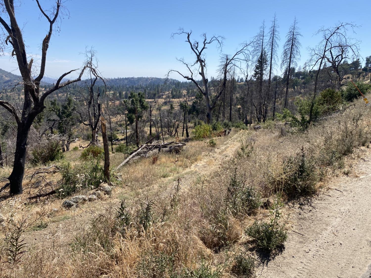 Photo of 35155 Peterson Rd in Auberry, CA