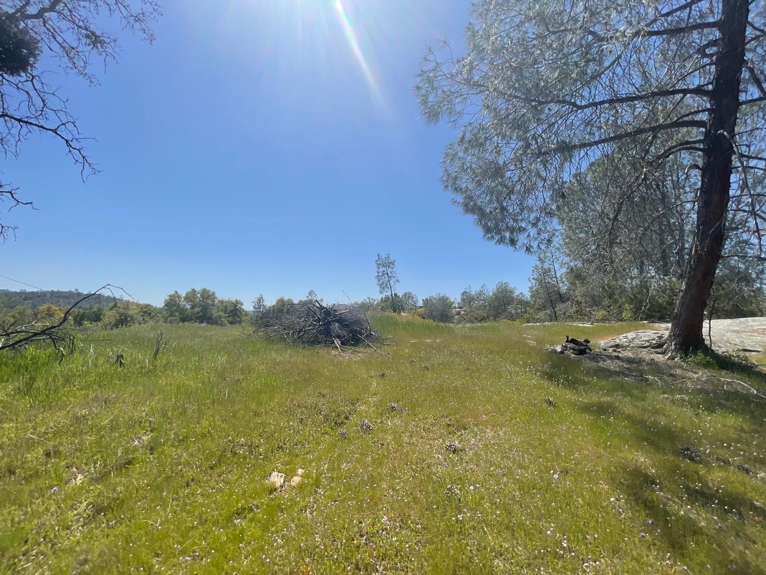 Photo of 1 Deep Forest Dr in Coarsegold, CA