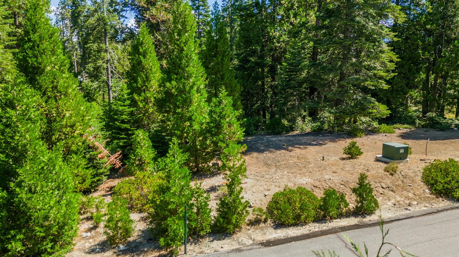 Welcome to Lot 22, Foxglove Ln, within the enchanting Wildflower Phase V development of Shaver Lake. Spanning .459 acres, this forested haven offers a pristine canvas for your mountain retreat. Immerse yourself in nature's embrace, surrounded by lush beauty including vibrant ferns, pines, and majestic oaks. This lot rests on a peaceful street, providing the ideal backdrop for your dream home. Explore the potential to expand with Lot 23 next door, also available for purchase.