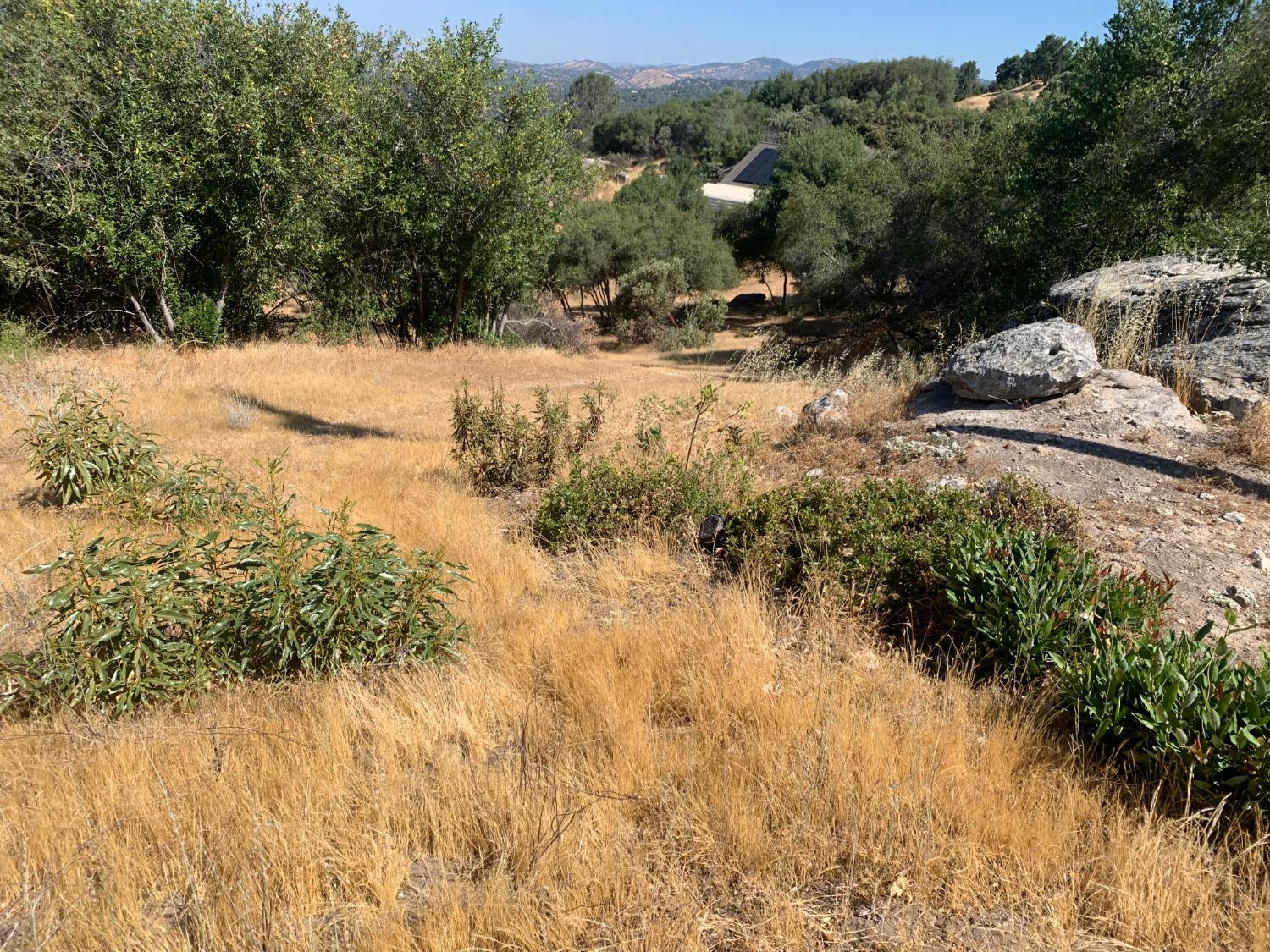 Vacant Lot in Coarsegold - photo 2