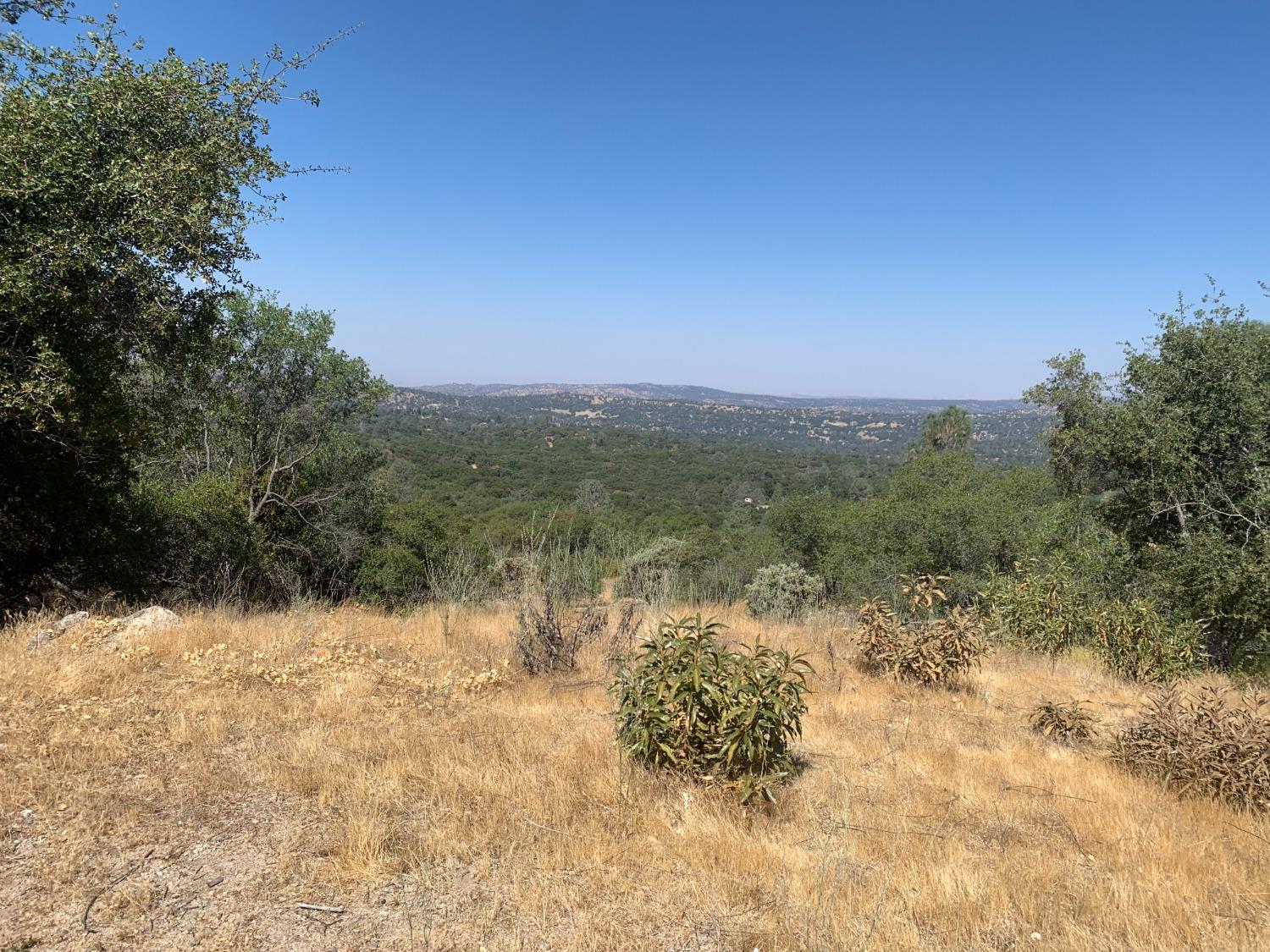 Vacant Lot in Coarsegold - photo 2