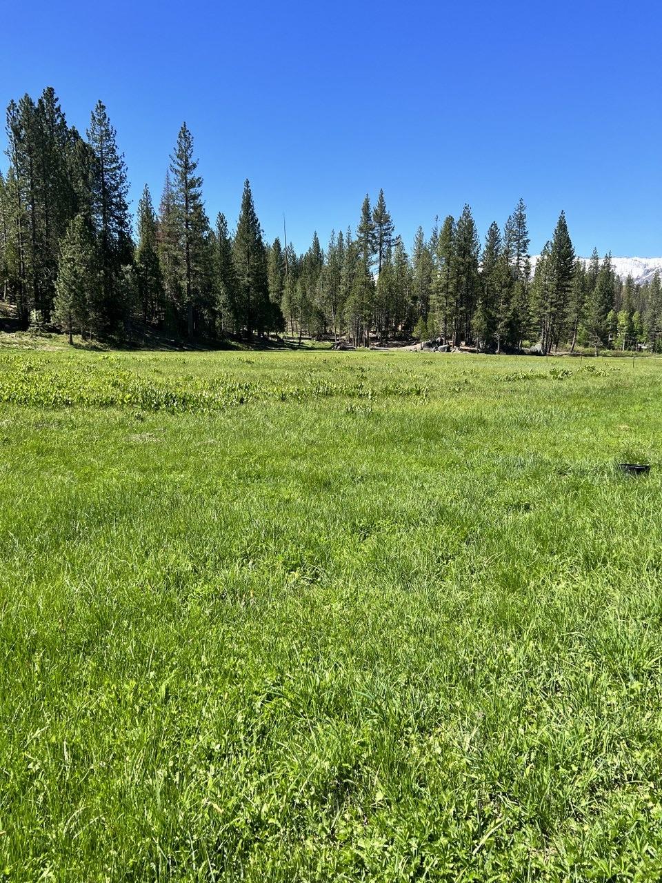 Photo of 0 Meadow Ln in North Fork, CA