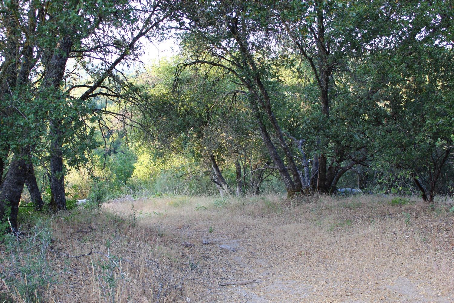 Photo of 0 Meadowwood Rd in Oakhurst, CA
