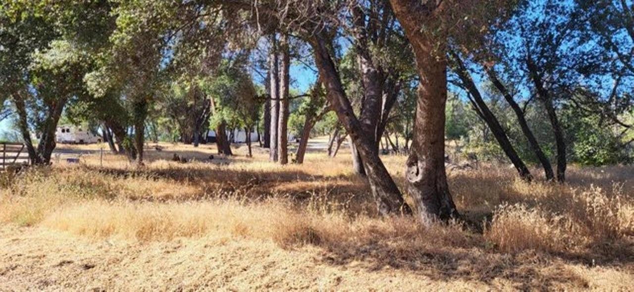 Photo of 0 Coyote Ridge Rd in Oakhurst, CA