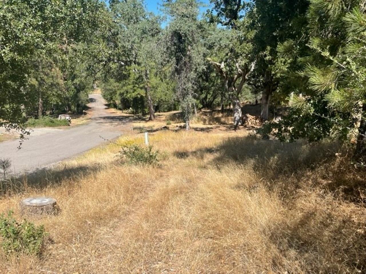 Photo of 0 Peckinpah Acres Dr in North Fork, CA