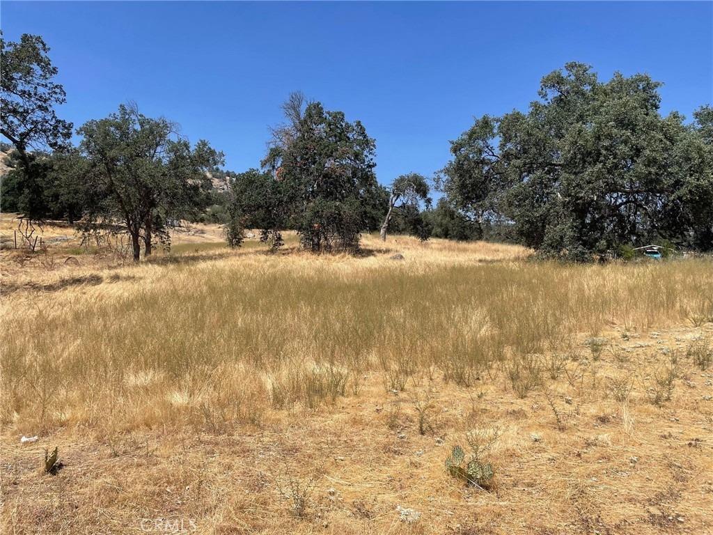 Photo of 0 Dove Ct in Coarsegold, CA