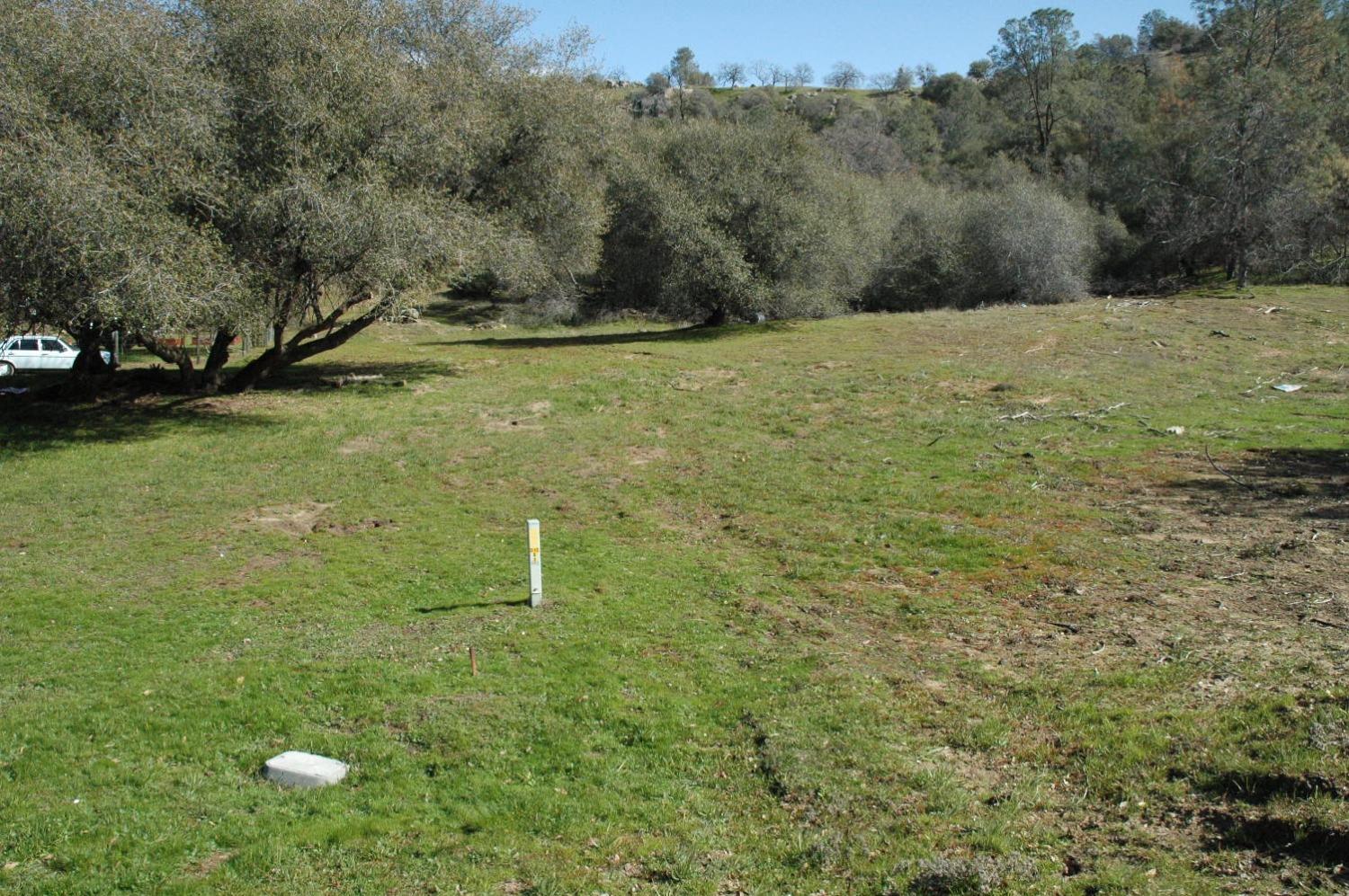 Photo of 43600 Sentinel Ct in Coarsegold, CA