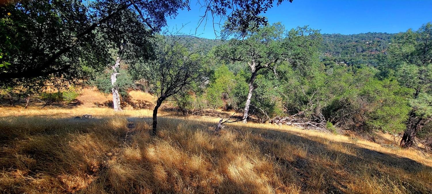 Photo of 1 Old Stonegate Ct in Oakhurst, CA