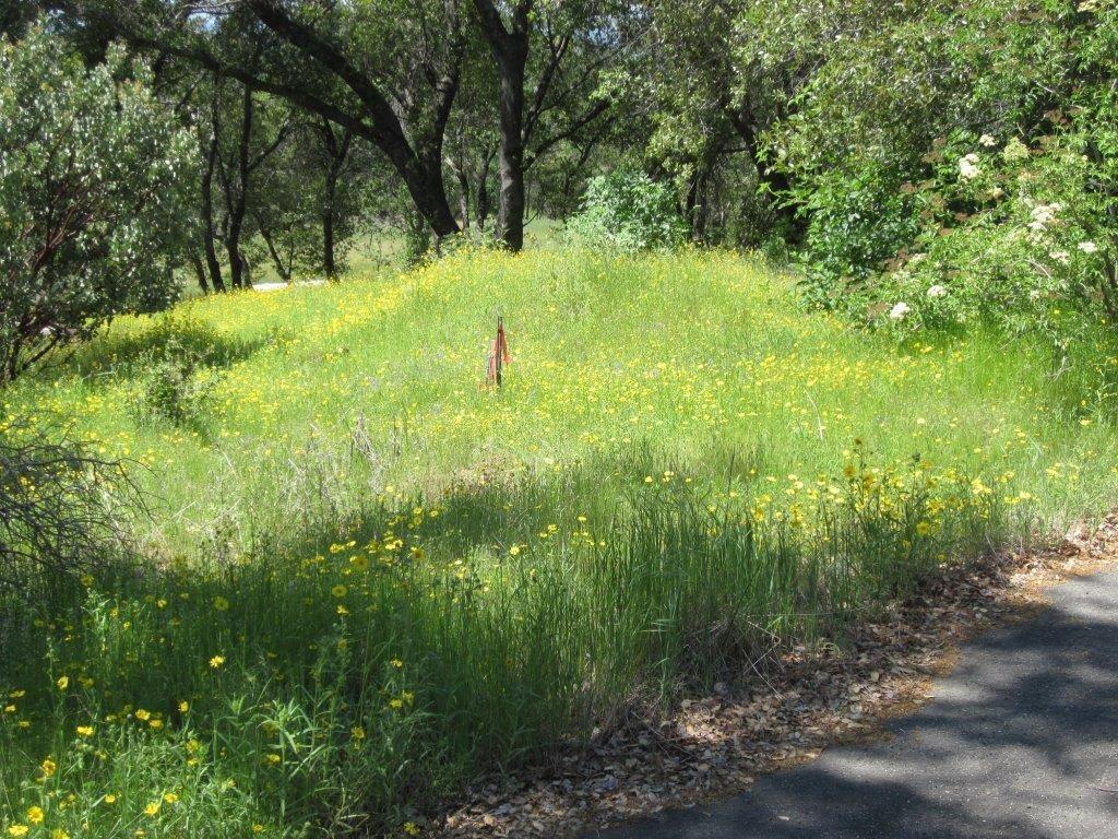 Photo of 0 Enchanted Oaks Dr in Coarsegold, CA