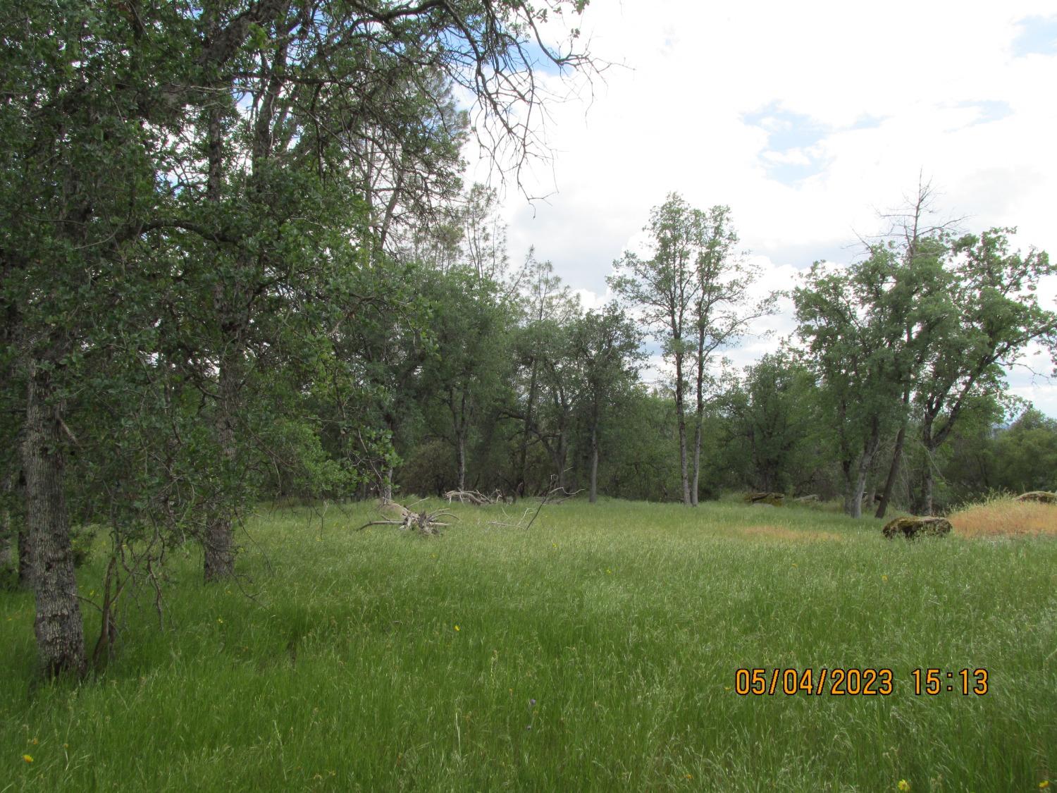 Photo of 3 Serendipity Ln in Coarsegold, CA