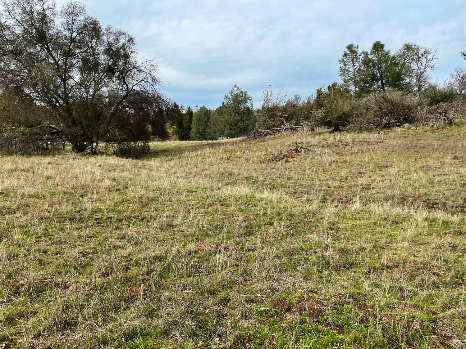 Photo of 1 Revis Rd in Coarsegold, CA