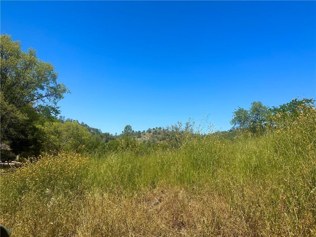 Vacant Lot in Coarsegold - photo 3