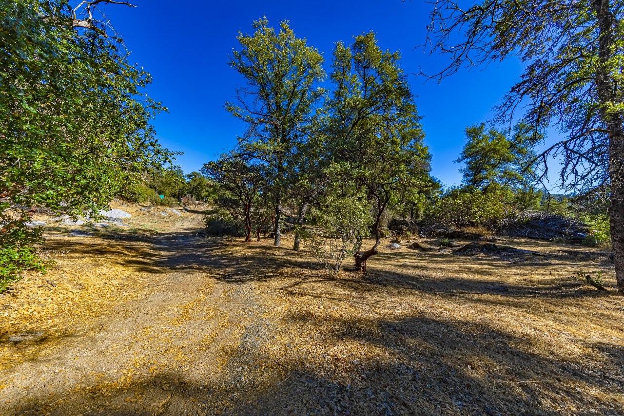 Photo of 4200 Silver Lane Rd in Mariposa, CA