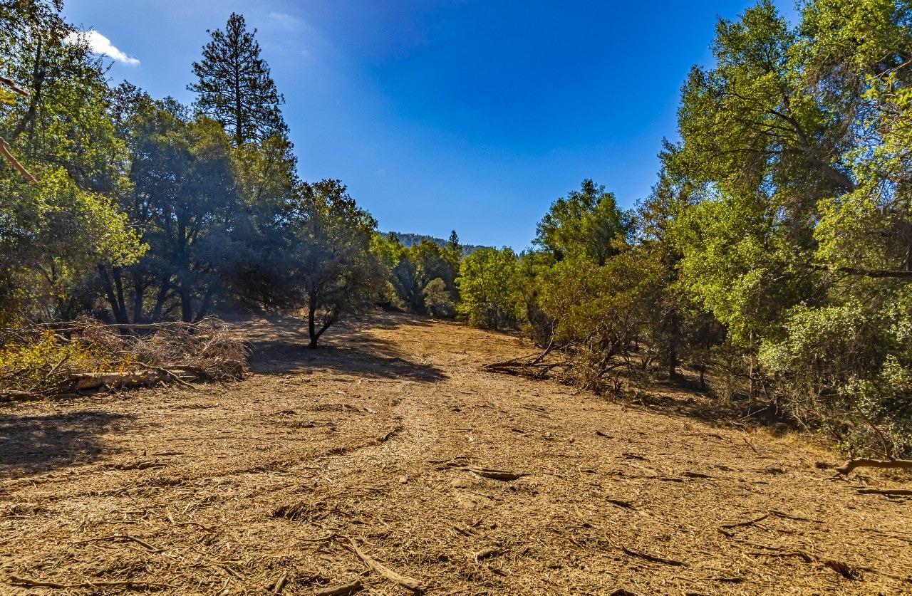 Photo of 0 China Creek Wy in Oakhurst, CA