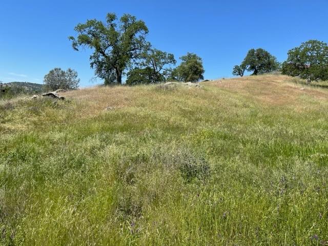 Photo of 0 Yosemite Spgs Parkwa in Coarsegold, CA