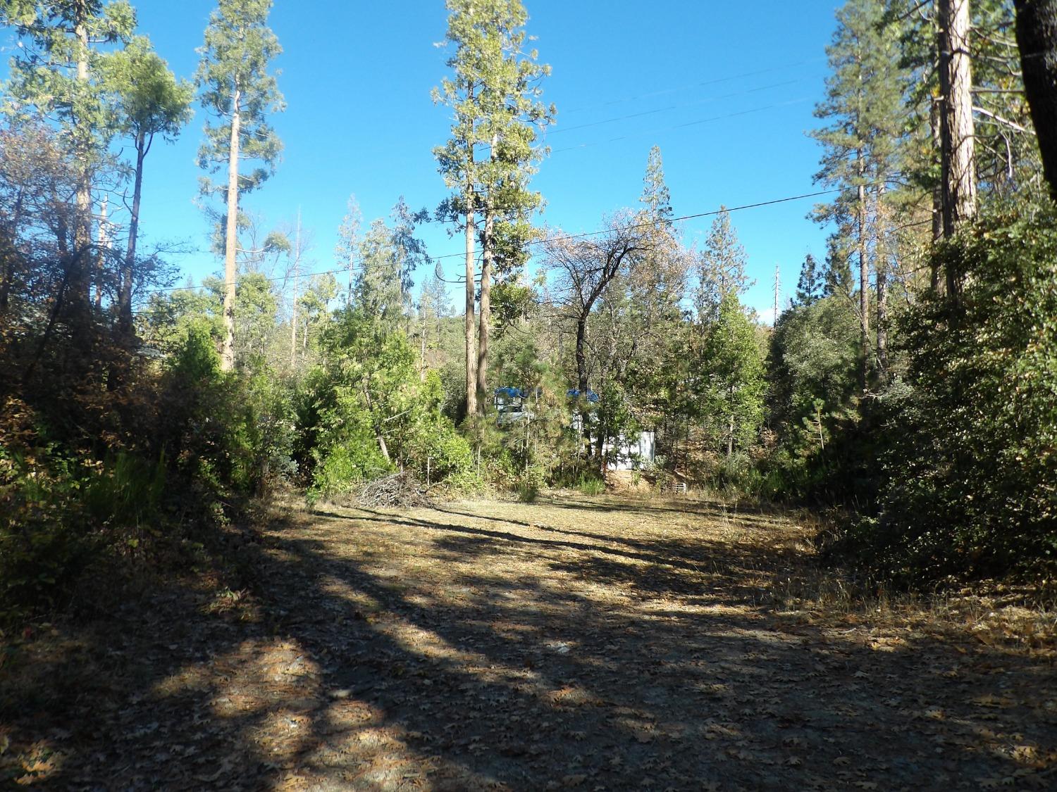 Photo of 53295 Rd 432 in Bass Lake, CA