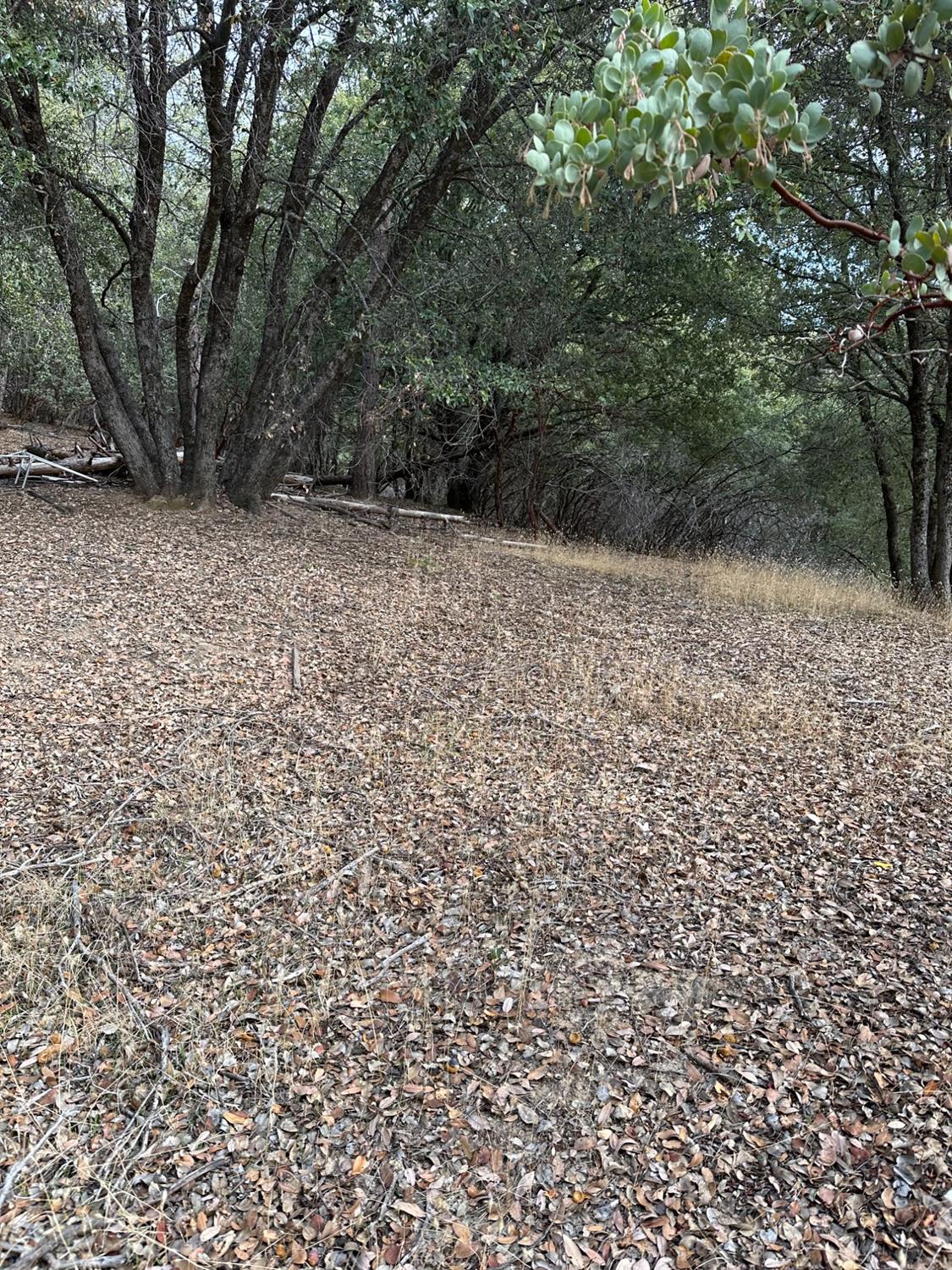 Photo of 2334 Parmabelle Rd in Mariposa, CA