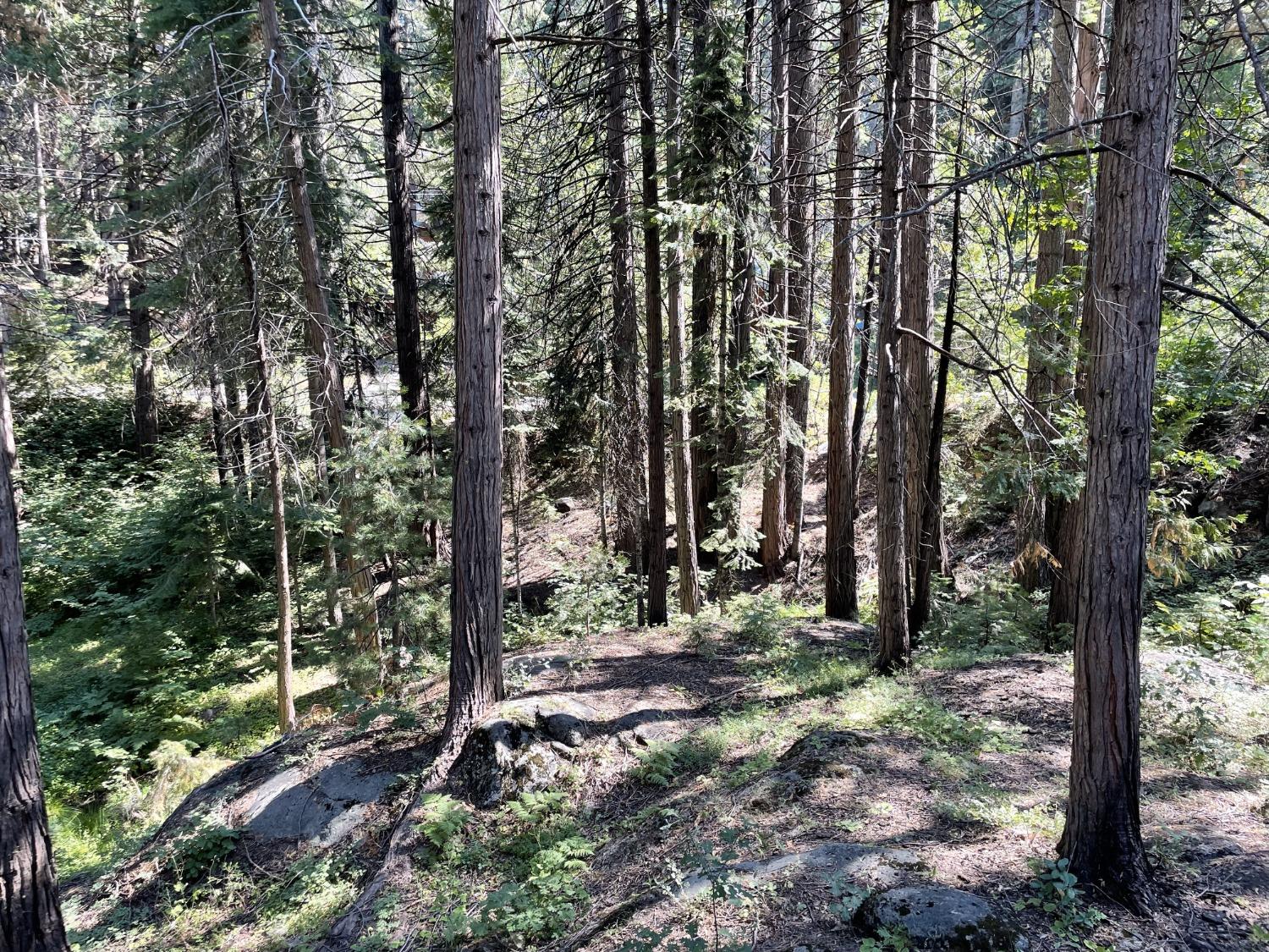 Photo of 7671 Forest Dr in Fish Camp, CA