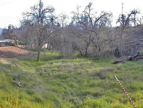 247 Squaw Valley Road