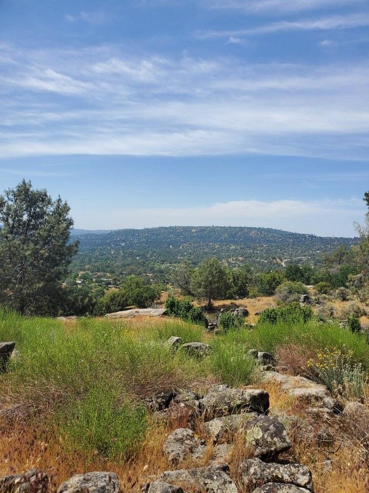 Large 14.62+/- acre lot between existing homes! Bring your contractor and home plans to build your dream home on this spacious sized lot! You will enjoy the beautiful panoramic views that this parcel has to offer! Great location just minutes to Highway 41 and a short drive to Chukchansi Casino. Yosemite Lakes Park community amenities include a golf course, swimming pool, spa, tennis court, hiking and horse trails, equestrian center, recreation area, clubhouse, volunteer fire station, ponds, Fairway Cafe, Blue Heron restaurant, Yosemite Grill and more!
