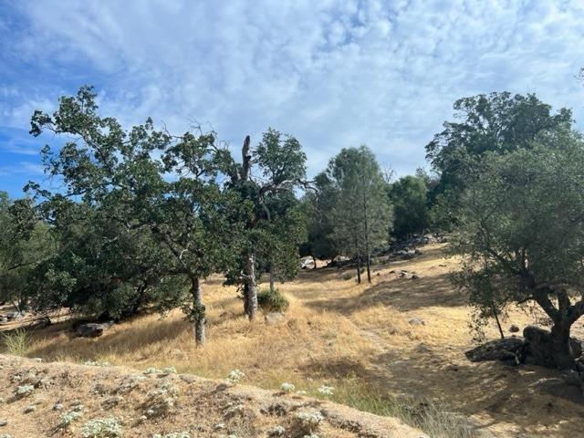 Photo of 30031 Revis Rd in Coarsegold, CA