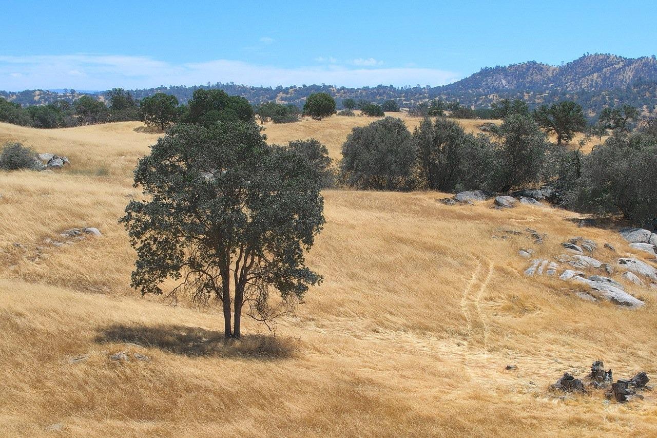 Beautiful rolling hill property! This 36.94+/- acres is fenced with electric at the street. There is an old homestead site and a developed spring. This property is located in a gated community and its a great spot to build your dream home! Just minutes from Fresno, Table Mountain Casino and Millerton Lake!