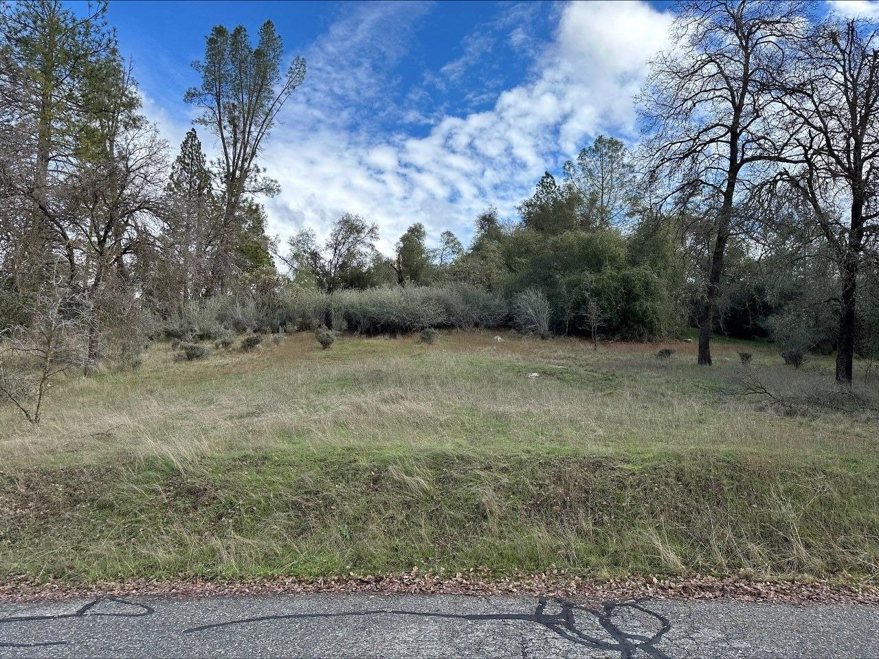 Explore this stunning 2.01+/- acre lot near Highway 41. With lots of wildlife, beautiful pine and oak trees, as well as easy access to 41 and minimal road noise, this truly is a gem! This property has access to power on the street. Stop by and enjoy the beautiful neighborhood as you envision your dream home being built on this lot!