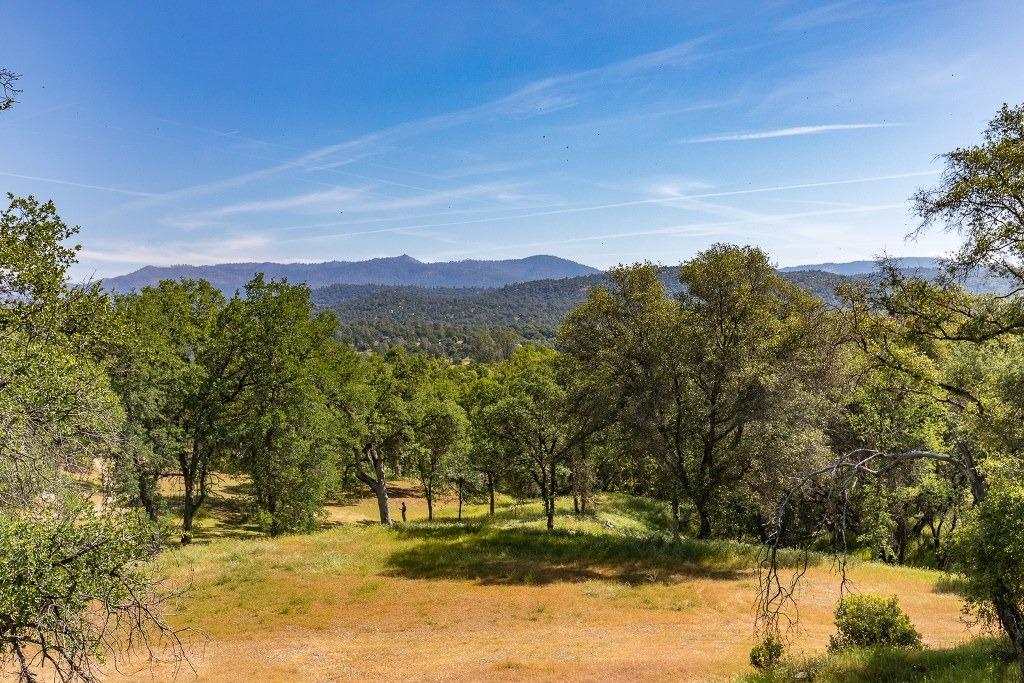 Beautiful 5+ acres of usable land with a well, septic permit, (on file and up to date with the county of Mariposa), electricity and telephone on the property and ready to go for your custom build! This property features beautiful rolling landscape with views of the Sierras, oaks, manzanita and wild flowers that add a special touch. This property sits approximately 12 minutes to the town of Mariposa, 45 minutes to the gate of Yosemite National Park north entrance, and just about 40 minutes to Merced. If you desire to go the other direction, you are only an hour from the city of Fresno and approximation 45 minutes to the south side of Yosemite. You can't go wrong with this property as it has everything ready to go to build your dream mountain