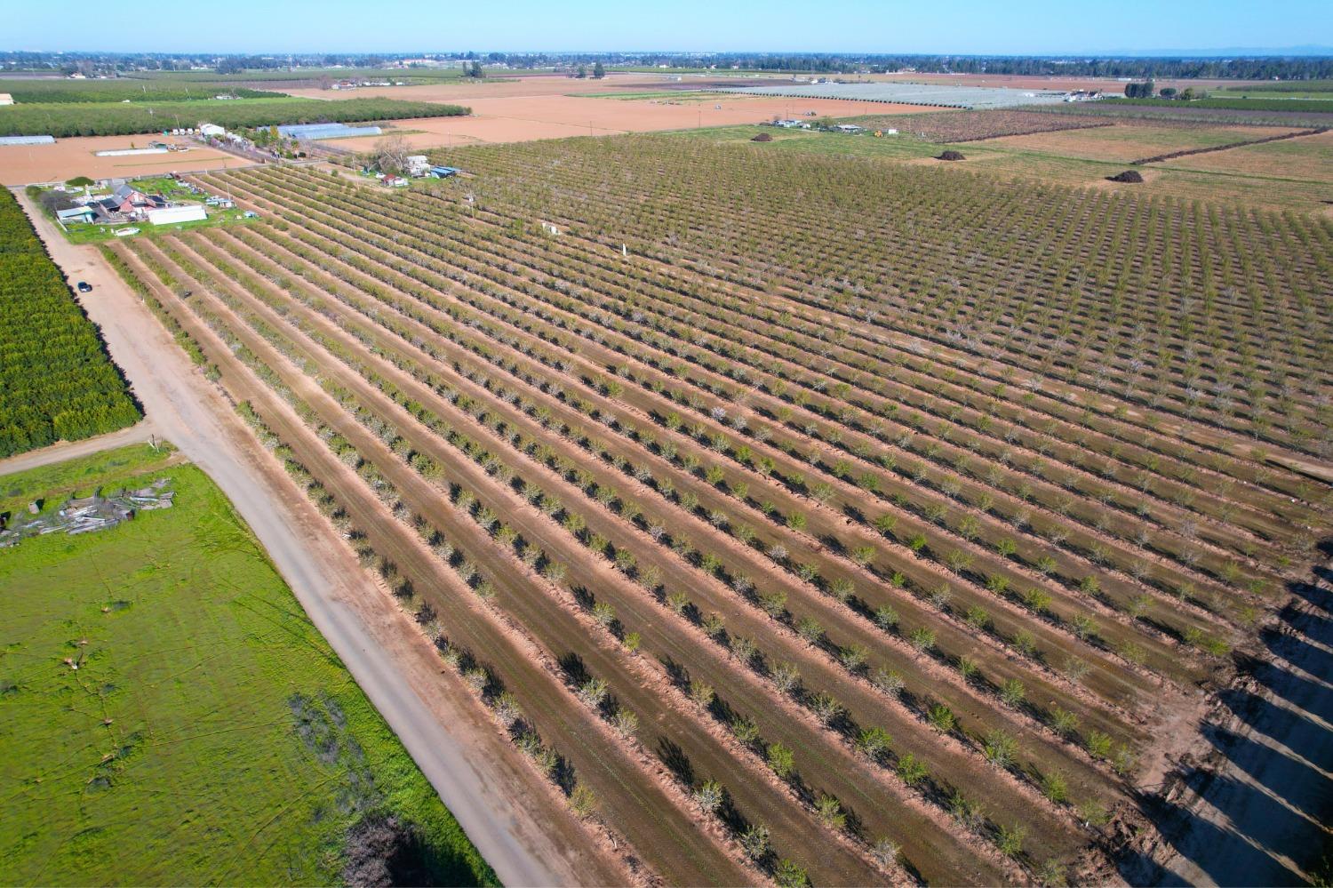 Discover a prime investment opportunity nestled within the fertile expanse of Fresno's sphere of influence. Spanning 28 acres, this property epitomizes the synergy of agribusiness and innovation, offering a canvas for ambitious ventures and sustainable growth.With self-pollinating verity at its core, this land ensures consistent yields and reduced labor costs, enhancing operational efficiency and profitability. At the heart of this property lies a well, a precious resource ensuring reliable water supply for irrigation purposes. Combined with a state-of-the-art drip system, the orchard is efficiently irrigated, maximizing water usage efficiency and minimizing operational costs.Strategically located near HWY180, logistics are streamlined for efficient transportation and access to lucrative markets. Whether you're a seasoned agricultural entrepreneur or a savvy investor, this parcel presents a strategic foothold in California's thriving agribusiness landscape.
