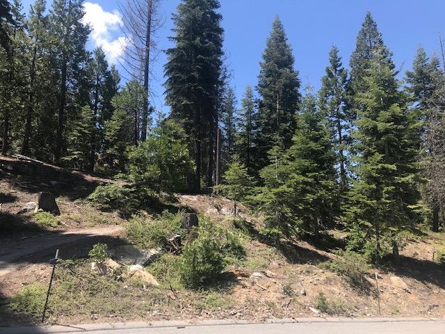 Photo of 16 Timber Ridge Rd in Shaver Lake, CA
