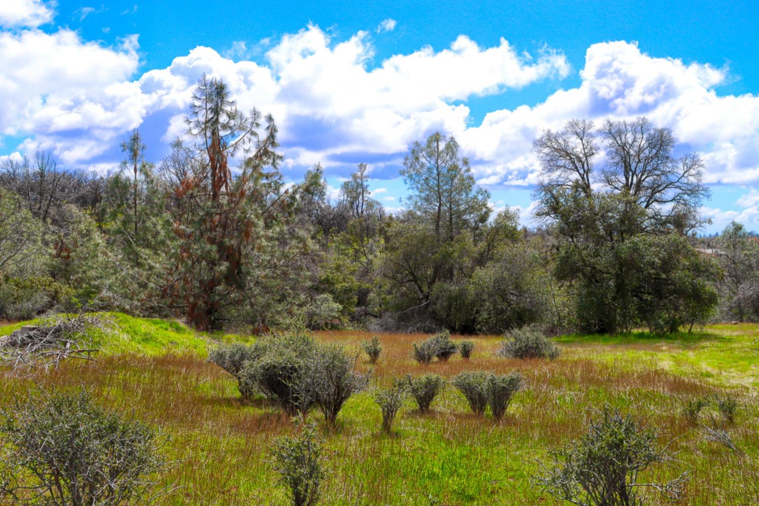 Photo of 5428 E Whitlock Rd in Midpines, CA