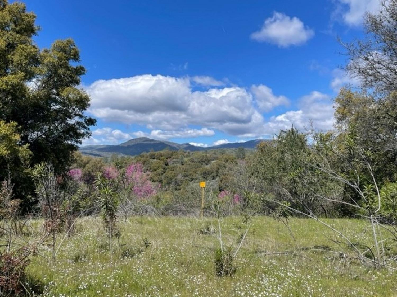 77.73 AC Two Hills Road, North Fork, CA, 93643