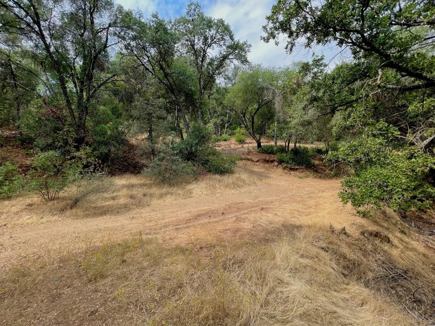 Photo of 10 Ac Miller Rd / Old Hwy in Mariposa, CA