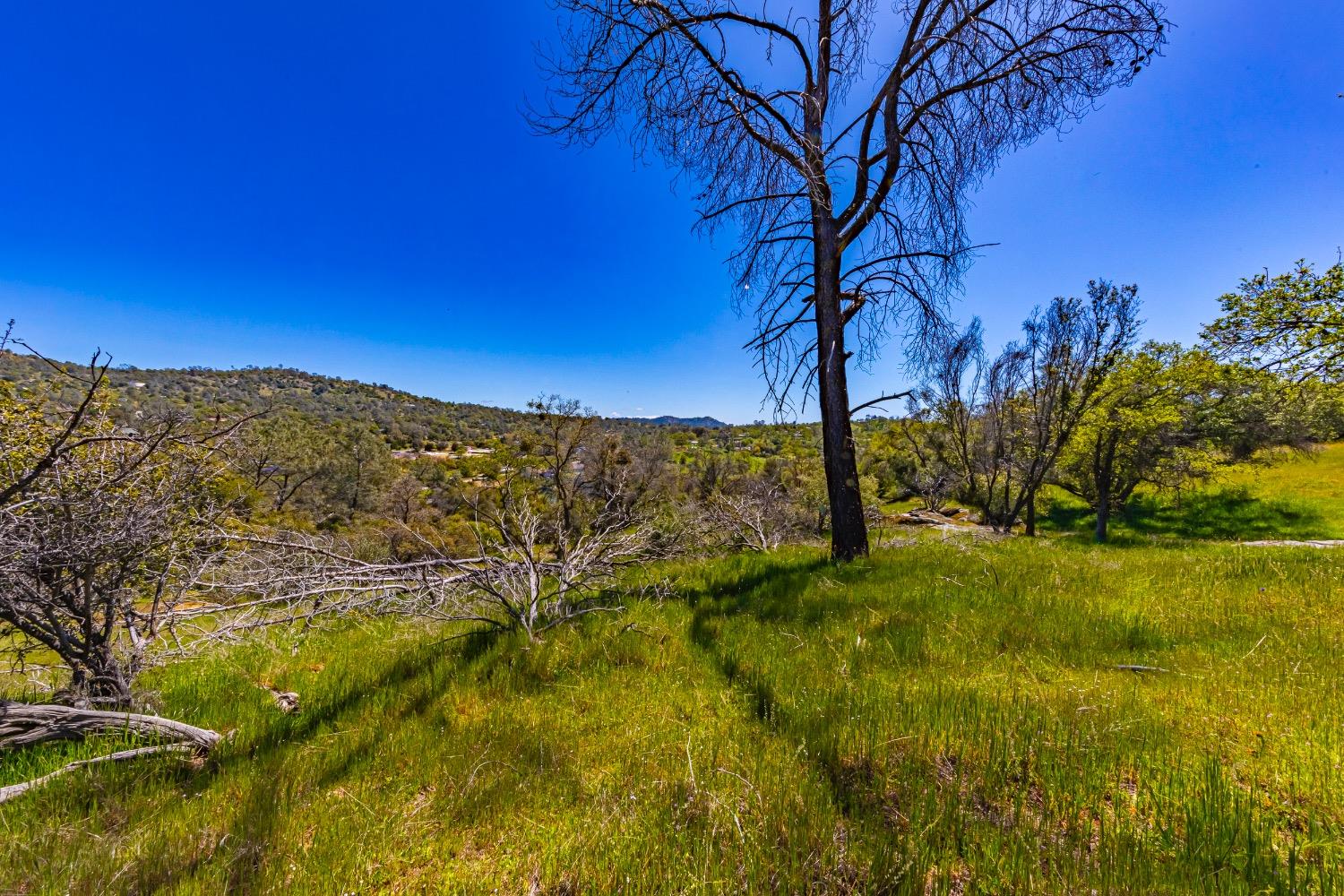 Photo of 1 Jim Bowie Ct in Coarsegold, CA