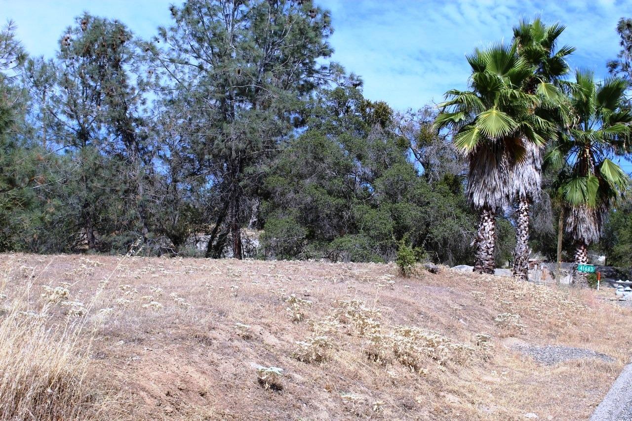 Photo of 0 Long Hollow Dr in Coarsegold, CA