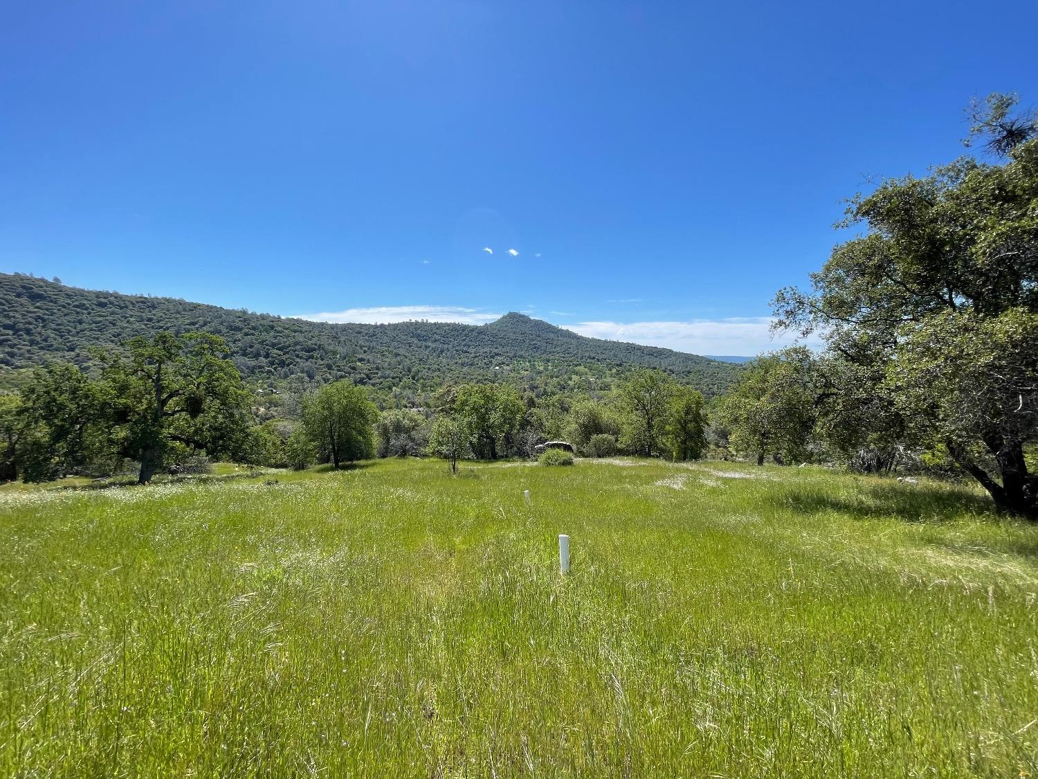 Photo of 3116 River Haven Dr in Mariposa, CA