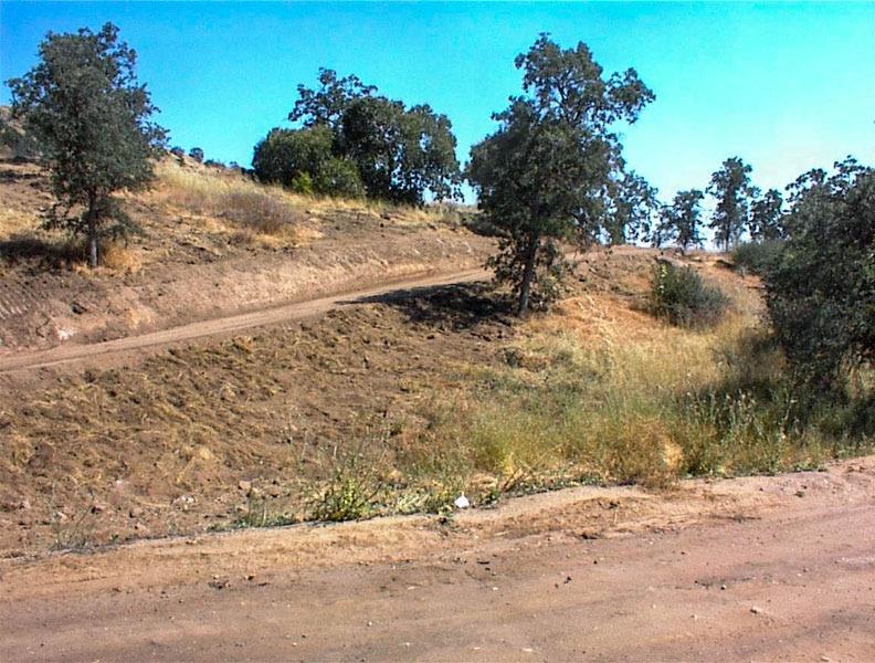 Terrific lot close to Hwy 180 for an easy commute to the valley. This secluded property has a newly constructed drive that leads to two awesome potential building sites. A ridge separates these sites from the road providing great natural privacy. Each of these sites has a commanding view of the southwestern San Joaquin Valley. Thhis an excellent property for someone wanting 2 homes both with good seperation between them or for a home plus shop, barn or other accessory buildings. Majority of property has southern exposure which is great for solar and power is at the road. Land is zones AE for agricultural and animal uses.