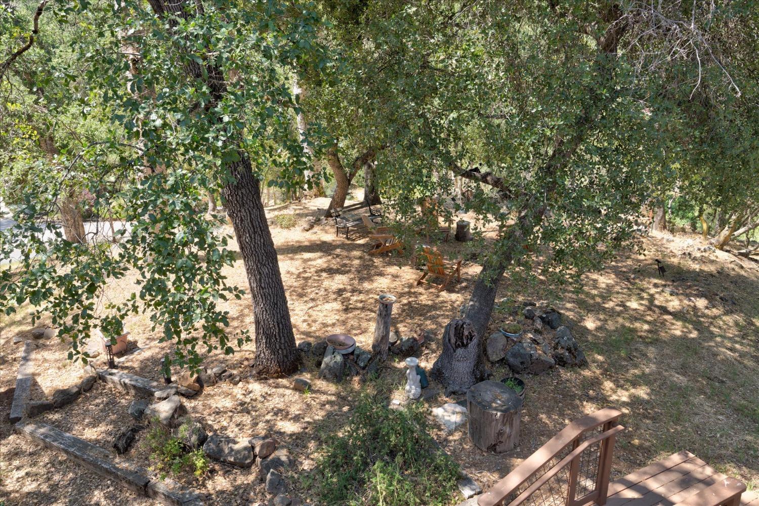 Photo 44