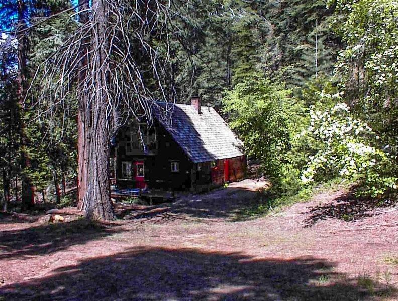 Rare chance to get a private cabin on 2 lots on Empress Mountain at 6000' elevation. Property is 4br,1-1/2ba main cabin plus a 1br1ba guest cabin and bathhouse. Main cabin has open floorplan w/master bedroom downstairs and 3 bedrooms upstairs. Also a full basement w/2 car garage and storage area. Lots are .34 acre and 1.8 acre w/cabin improvements on smaller parcel. Large parcel has a 17.5gpm well and multiple building sites. Empress Mountain has 12 cabin lots w/owner controlled gated access at Hwy 180. Cabin is in walking distance to Hitchcock Meadow and Big Stump picnic area and a bit farther to Grant Grove Village and Wilsonia. Cabin comes fully furnished except owner keepsakes and personal items.