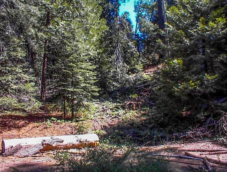 50248 Hwy 180