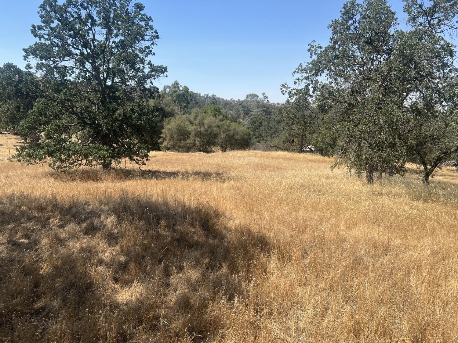 Vacant Lot in Coarsegold - photo 3