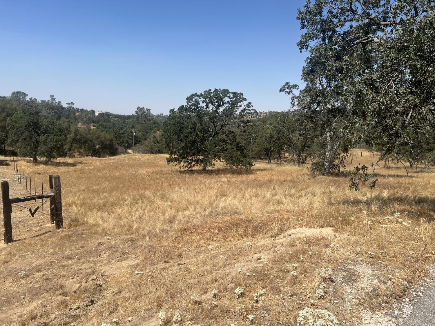 Vacant Lot in Coarsegold