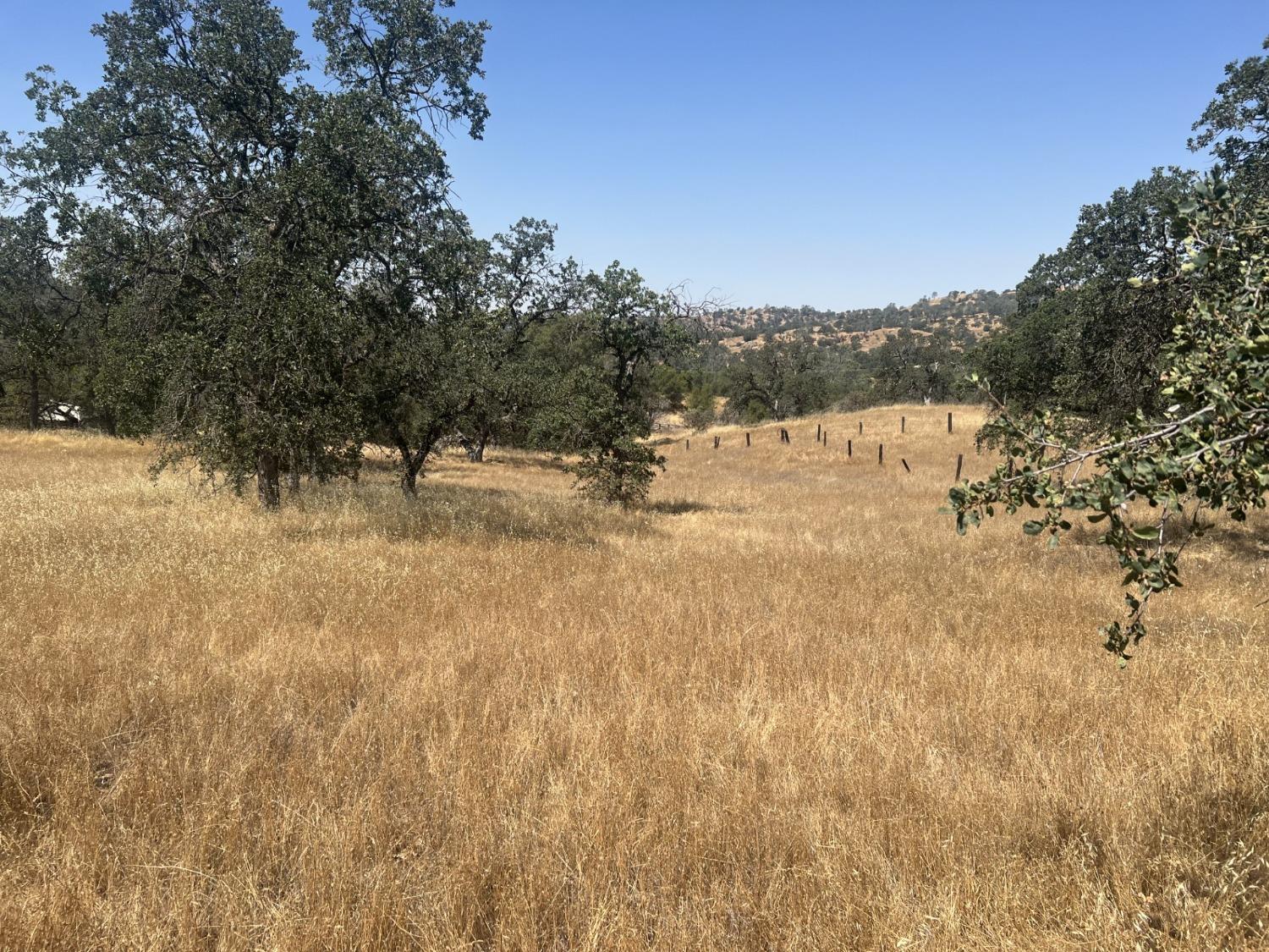 Vacant Lot in Coarsegold - photo 2