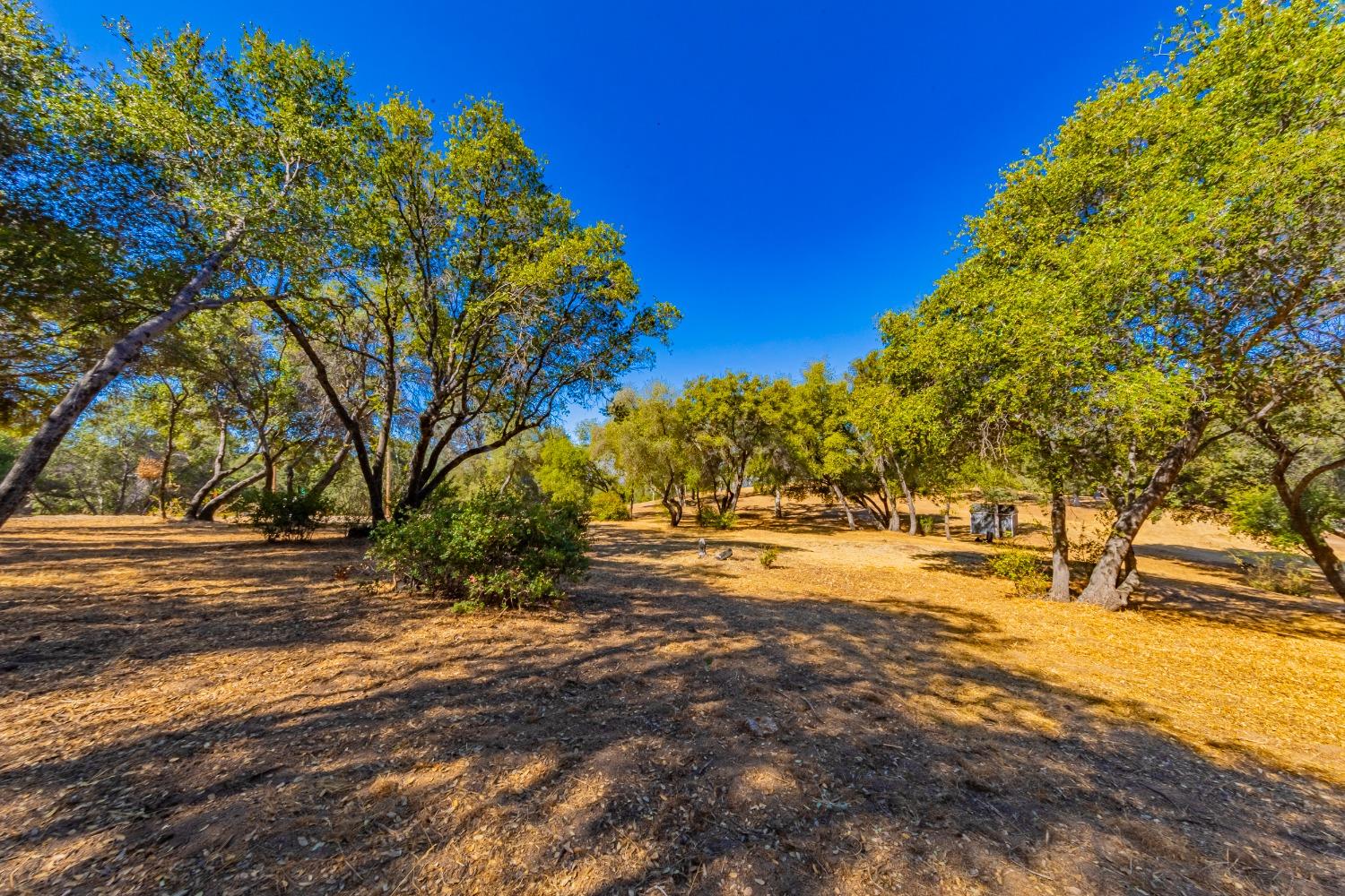 Vacant Lot in Coarsegold - photo 2