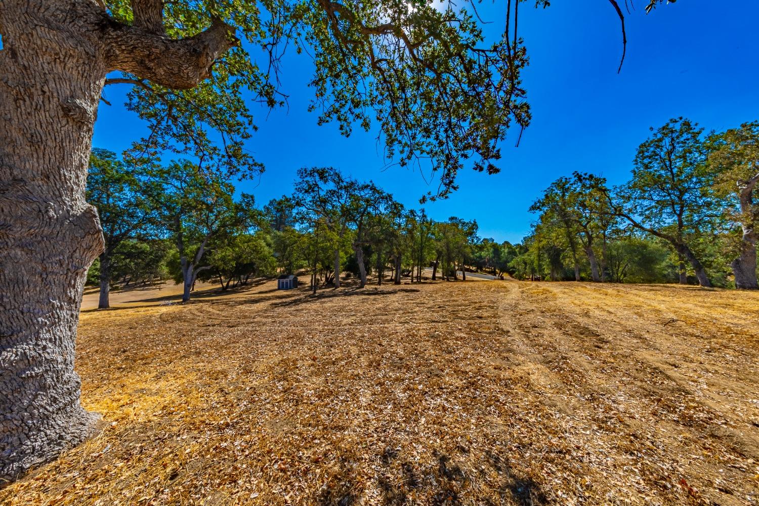 Vacant Lot in Coarsegold - photo 3